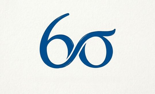 Yalın Altı Sigma ve Yalın Düşünce