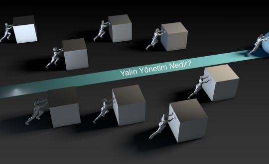 Yalın Yönetim Nedir